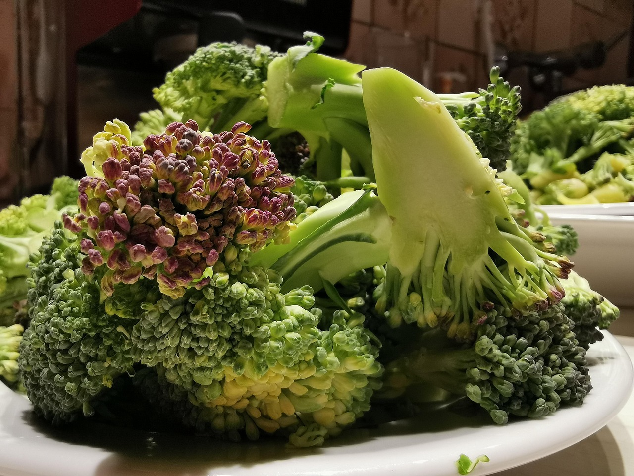 broccoli recipes